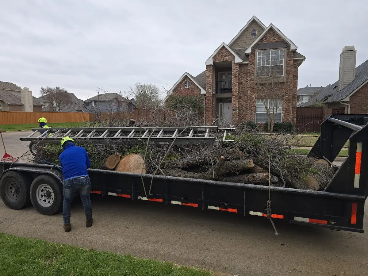 Expert Lot Clearing with proper safety equipment in Bennett